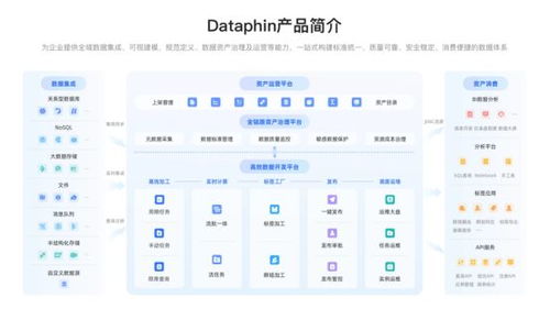 企業(yè)數(shù)據(jù)系統(tǒng)建設(shè) 治理價(jià)值凸顯，2025主流產(chǎn)品與服務(wù)全景展望